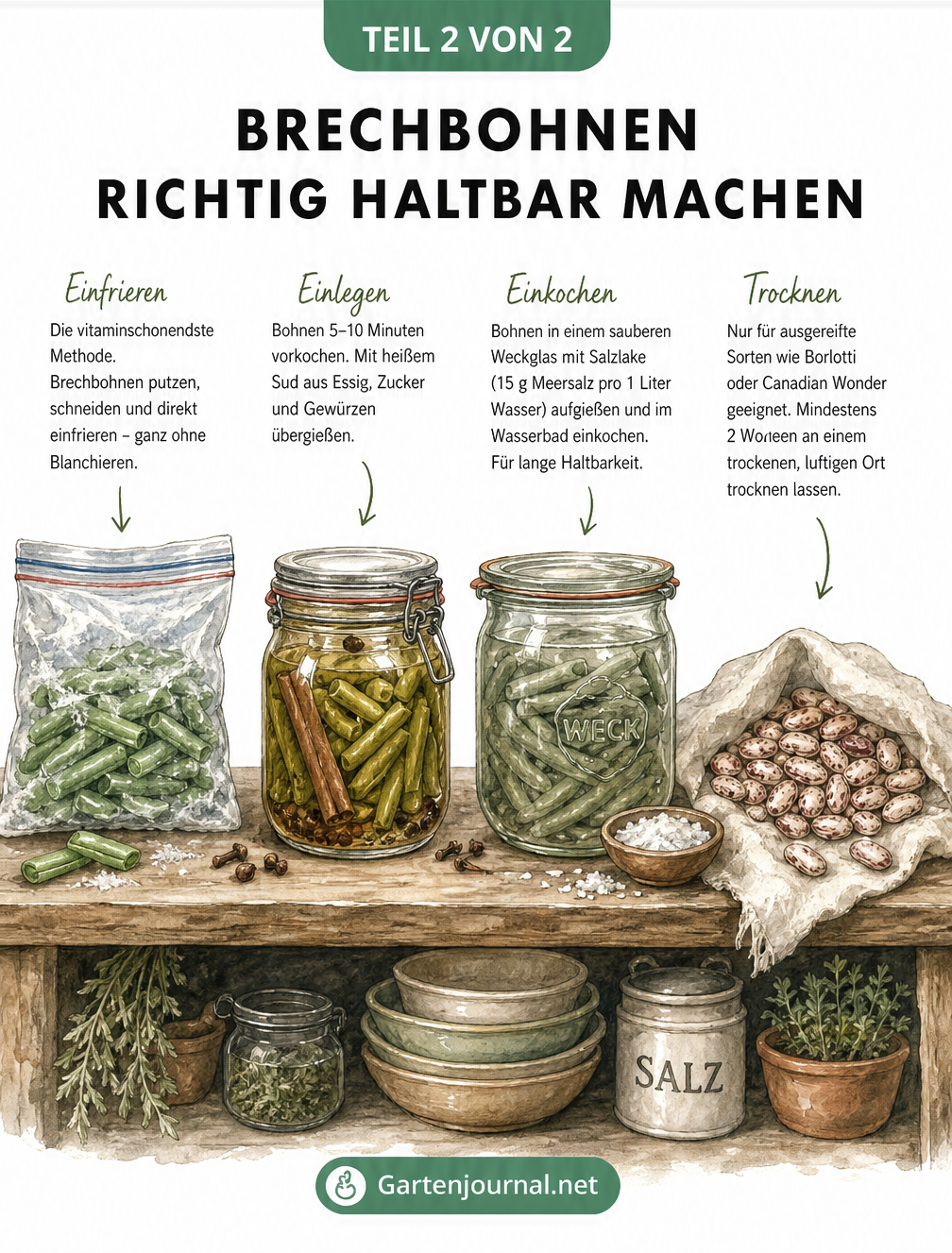 Illustration verschiedener Methoden zum Haltbarmachen von Brechbohnen: Einfrieren, Einlegen, Einkochen und Trocknen