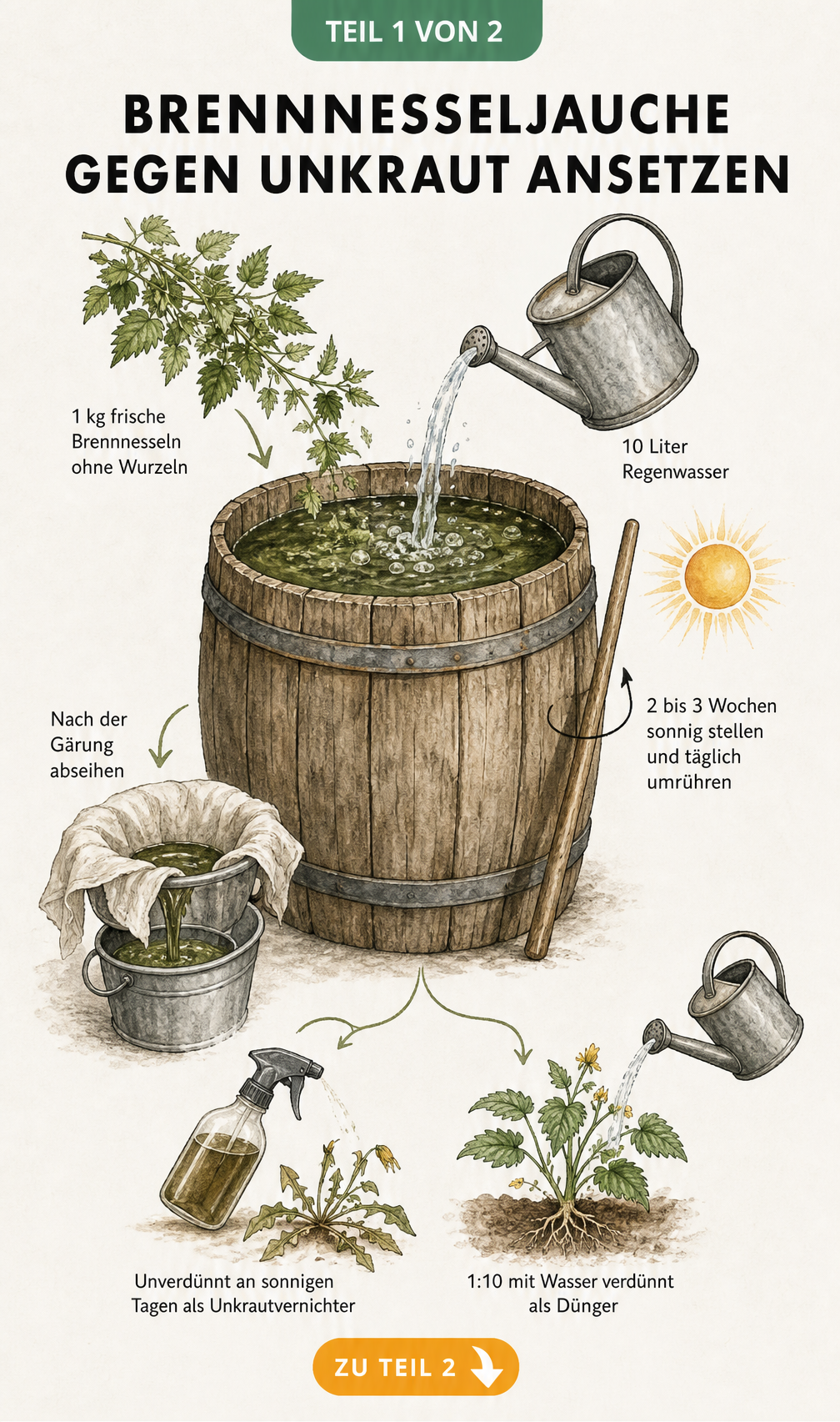 Illustration eines Holzfasses mit Brennnesseln, Wasser und Gießkanne zur Herstellung von Brennnesseljauche