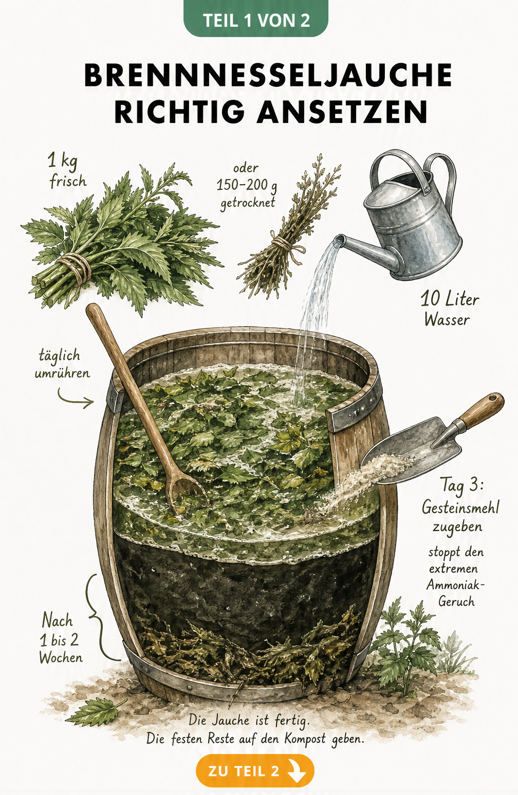 Illustration eines Holzfasses mit Brennnesseln, Wasser und Gesteinsmehl zum Ansetzen von Brennnesseljauche