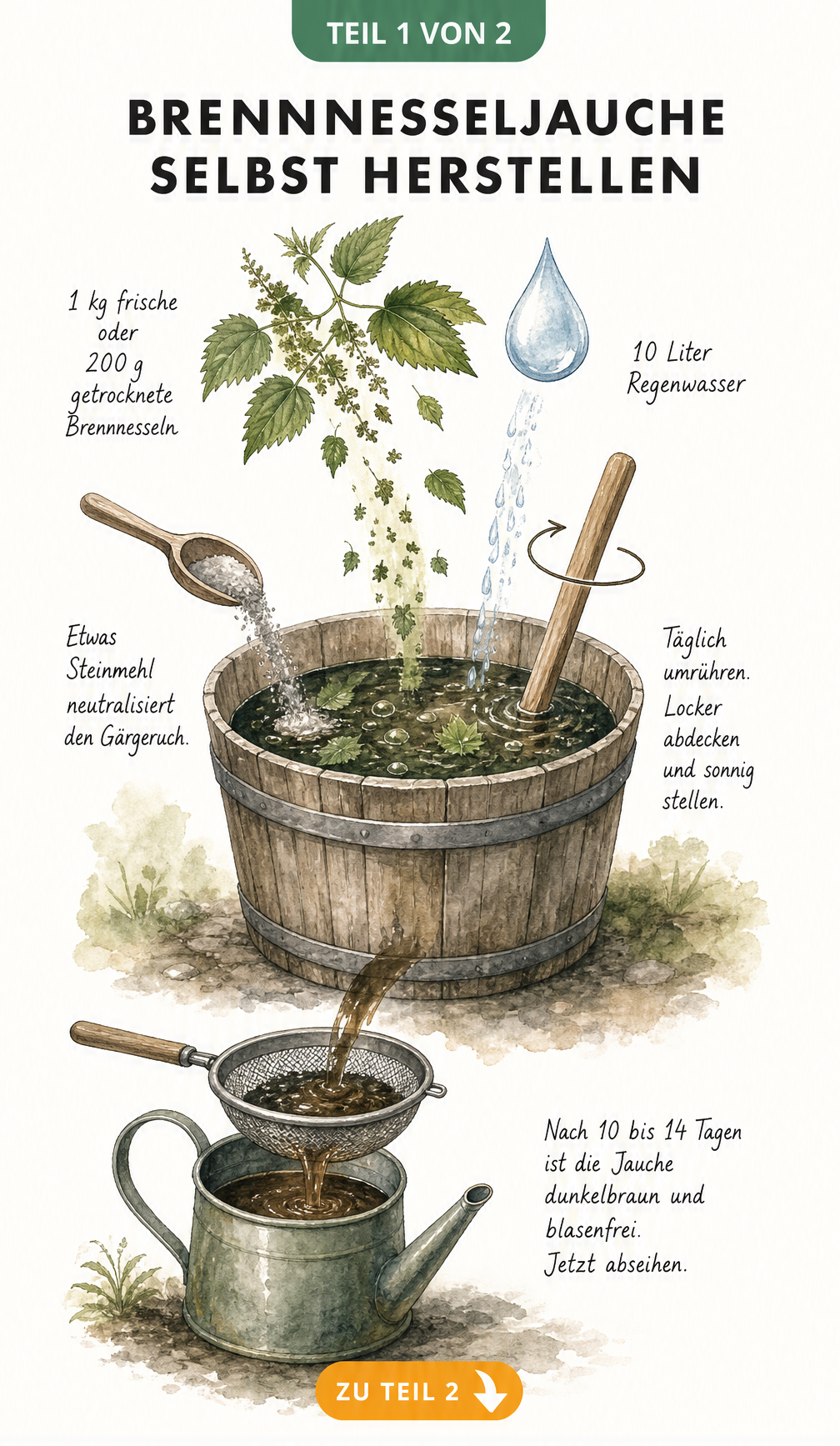 Illustration zur Herstellung von Brennnesseljauche mit Zutaten wie frischen Brennnesseln, Regenwasser und Steinmehl in einem Holzbottich.