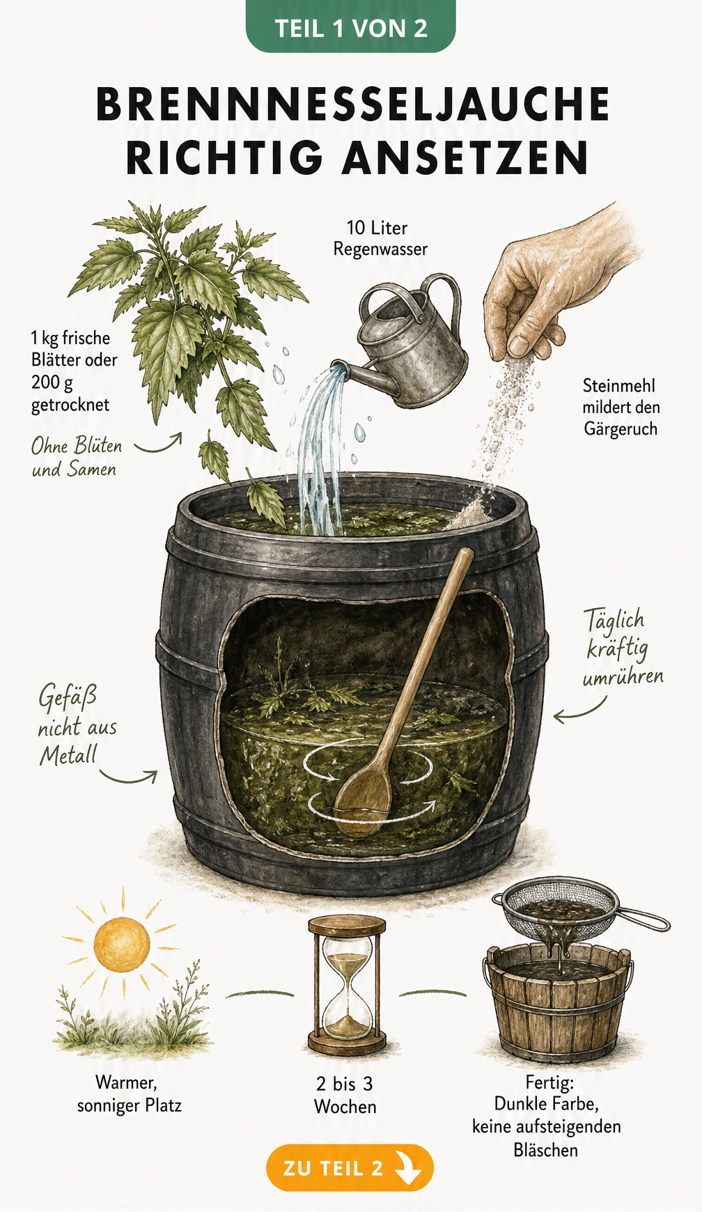 Botanische Skizze zur Herstellung von Brennnesseljauche in einem Fass mit Wasser, Brennnesselblättern und Steinmehl
