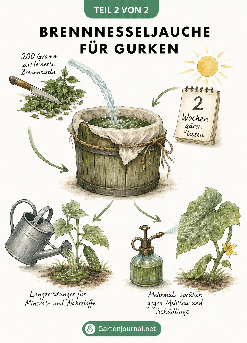 Illustration zur Herstellung von Brennnesseljauche mit Holzeimer, Waage und Anwendung an Gurken