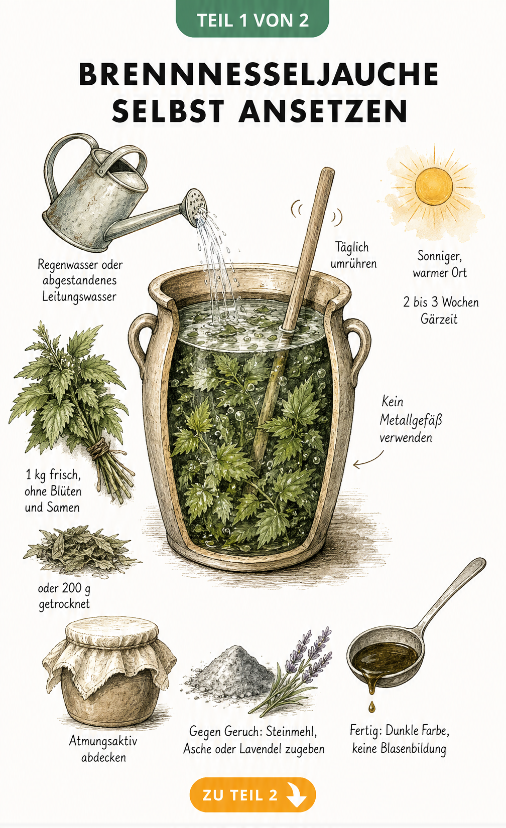 Illustration eines Keramikgefäßes zur Herstellung von Brennnesseljauche mit Zutaten wie frischen Brennnesseln und Regenwasser