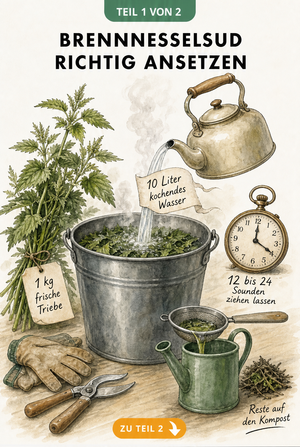 Illustration eines Eimers mit Brennnesseln, kochendem Wasser und einer Uhr, die 12 bis 24 Stunden Ziehzeit anzeigt.