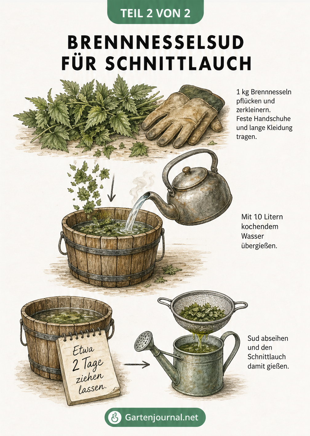 Illustration zur Herstellung von Brennnesselsud mit Brennnesseln, Holzeimer, kochendem Wasser und Gießkanne