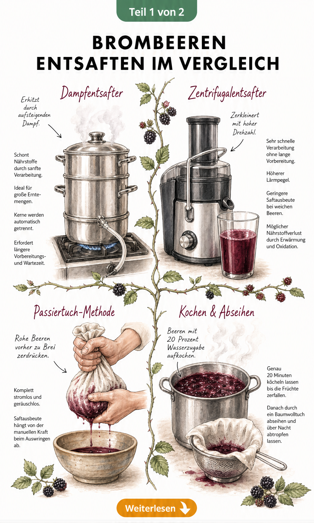 Illustration von vier Methoden zum Entsaften von Brombeeren: Dampfentsafter, Zentrifugalentsafter, manuelles Auswringen und Kochen im Topf