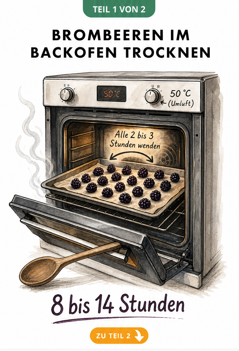 Illustration eines Backofens mit Brombeeren auf einem Backblech, Temperatur 50 Grad Umluft und Kochlöffel in der Tür