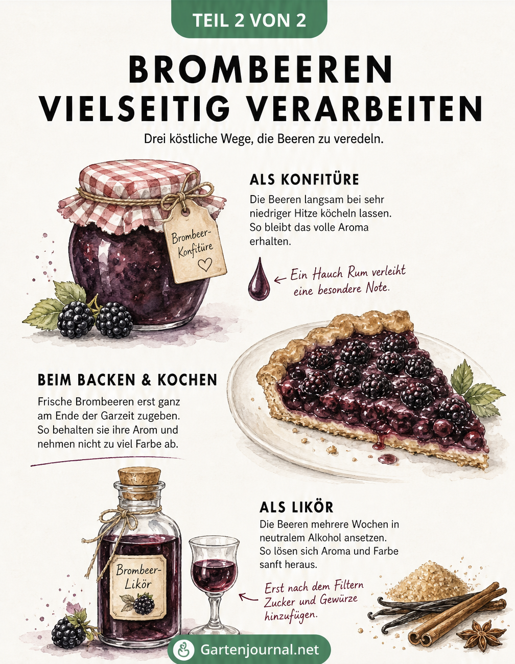 Illustration von Brombeermarmelade, einer Brombeer-Tarte und einer Flasche Brombeerlikör mit Rezeptnotizen