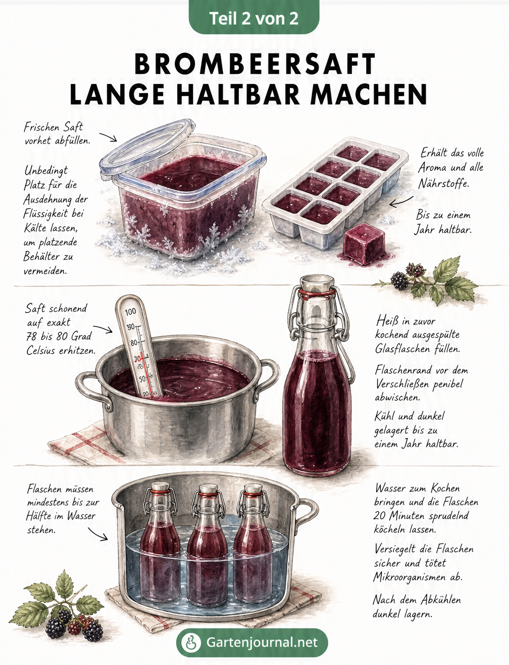 Illustration von drei Methoden, um Brombeersaft haltbar zu machen: Einfrieren, Heißabfüllung und Einkochen im Wasserbad