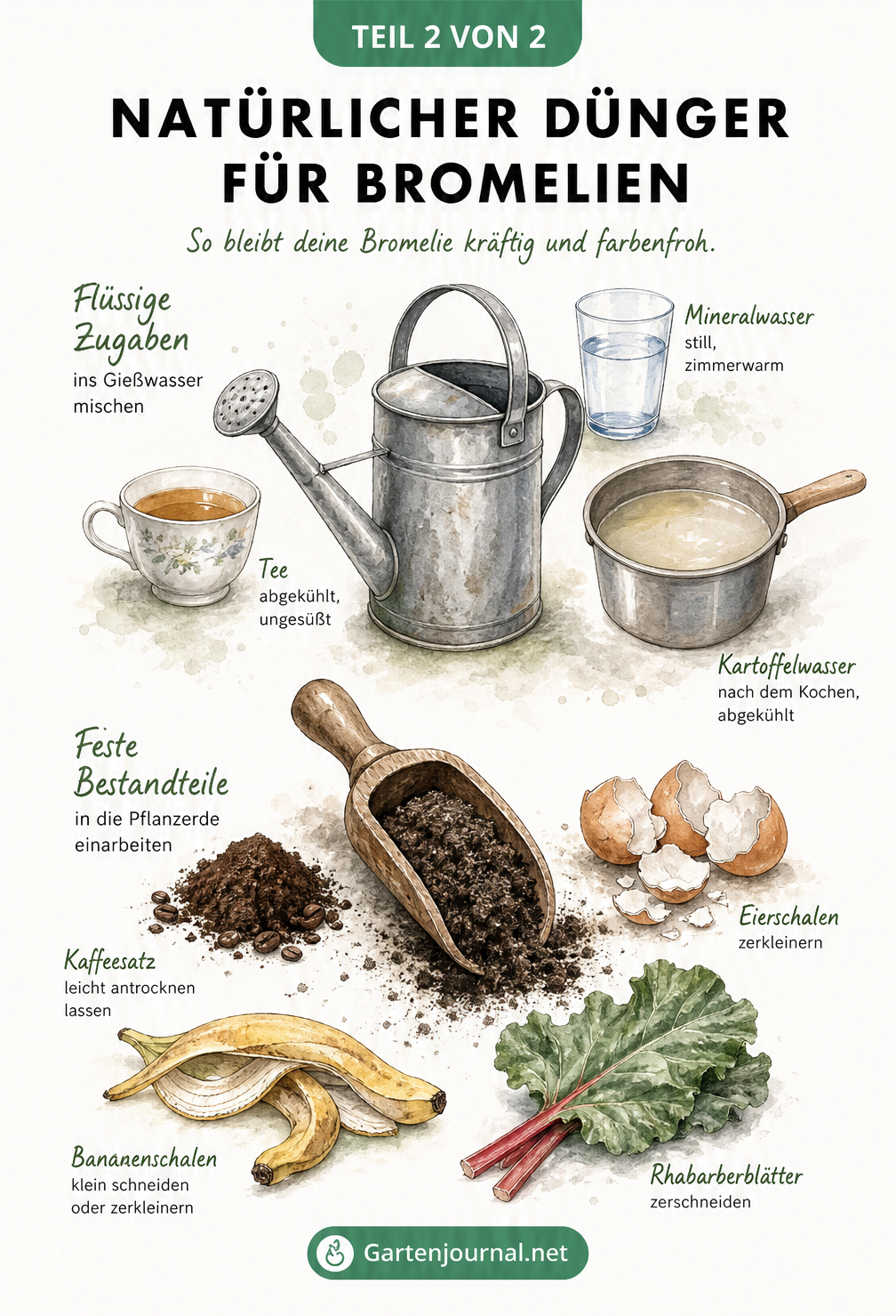 Illustration einer Gießkanne und Holzschaufel mit natürlichen Düngemitteln wie Tee, Mineralwasser, Kaffeesatz, Eierschalen und Bananenschalen.