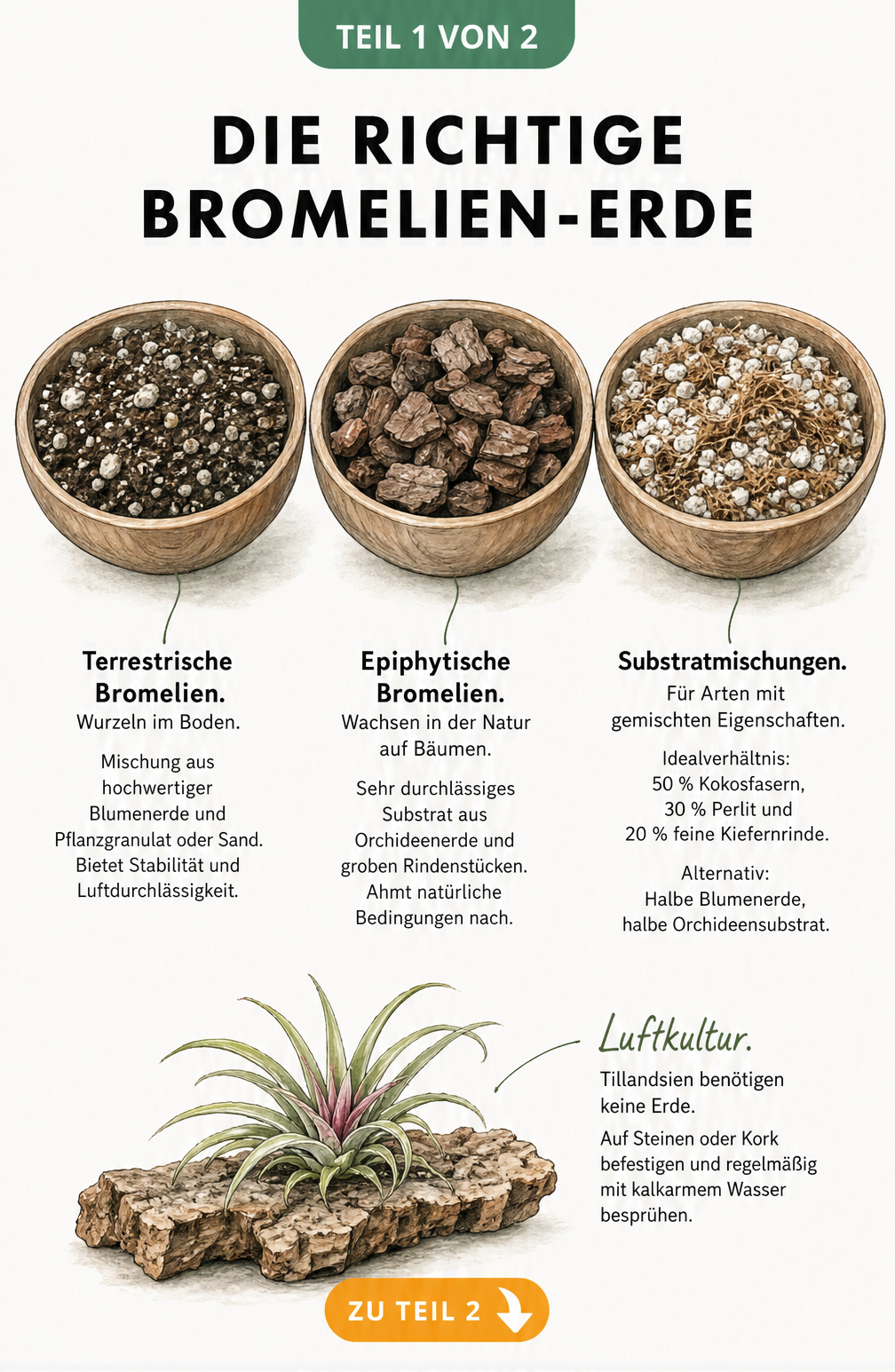 Drei Holzschalen mit unterschiedlichen Erdmischungen für Bromelien: terrestrisch, epiphytisch und gemischt.