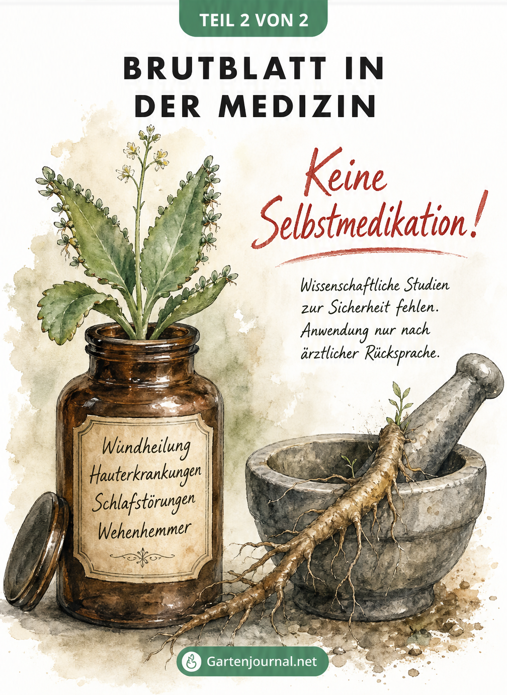 Illustration eines Apothekerglases mit Brutblatt und einem Mörser mit Warnhinweis gegen Selbstmedikation