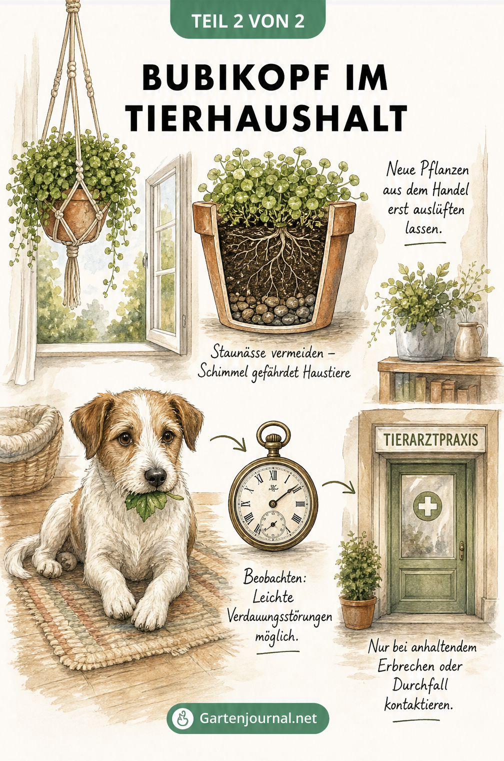 Illustration eines Bubikopfs in einer Makramee-Ampel und eines Hundes mit einem Blatt im Maul