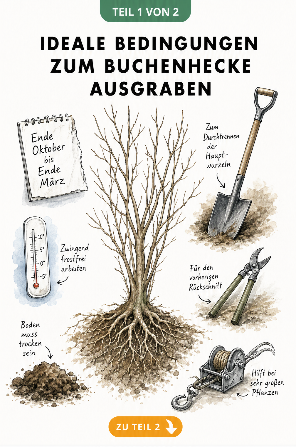 Illustration einer blattlosen Buchenpflanze mit Kalenderblatt, Thermometer und Gartenwerkzeugen wie Spaten und Astschere
