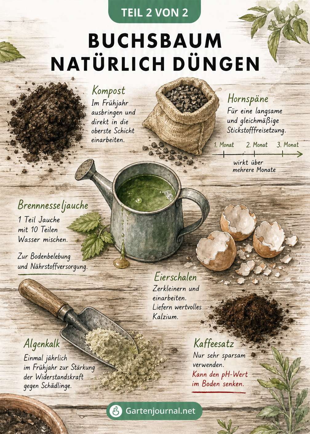 Illustration verschiedener organischer Düngemittel wie Kompost, Hornspäne und Brennnesseljauche auf einem Pflanztisch