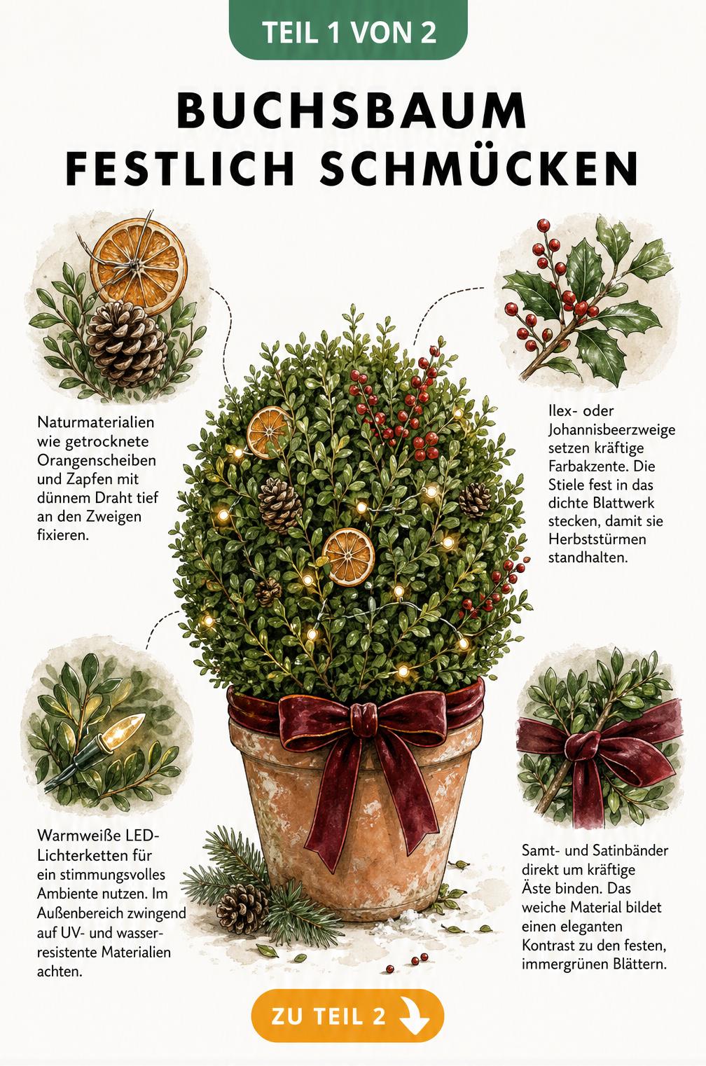 Illustration eines festlich geschmückten Buchsbaums im Topf mit Naturmaterialien, roten Beerenzweigen, Lichterkette und Samtband.