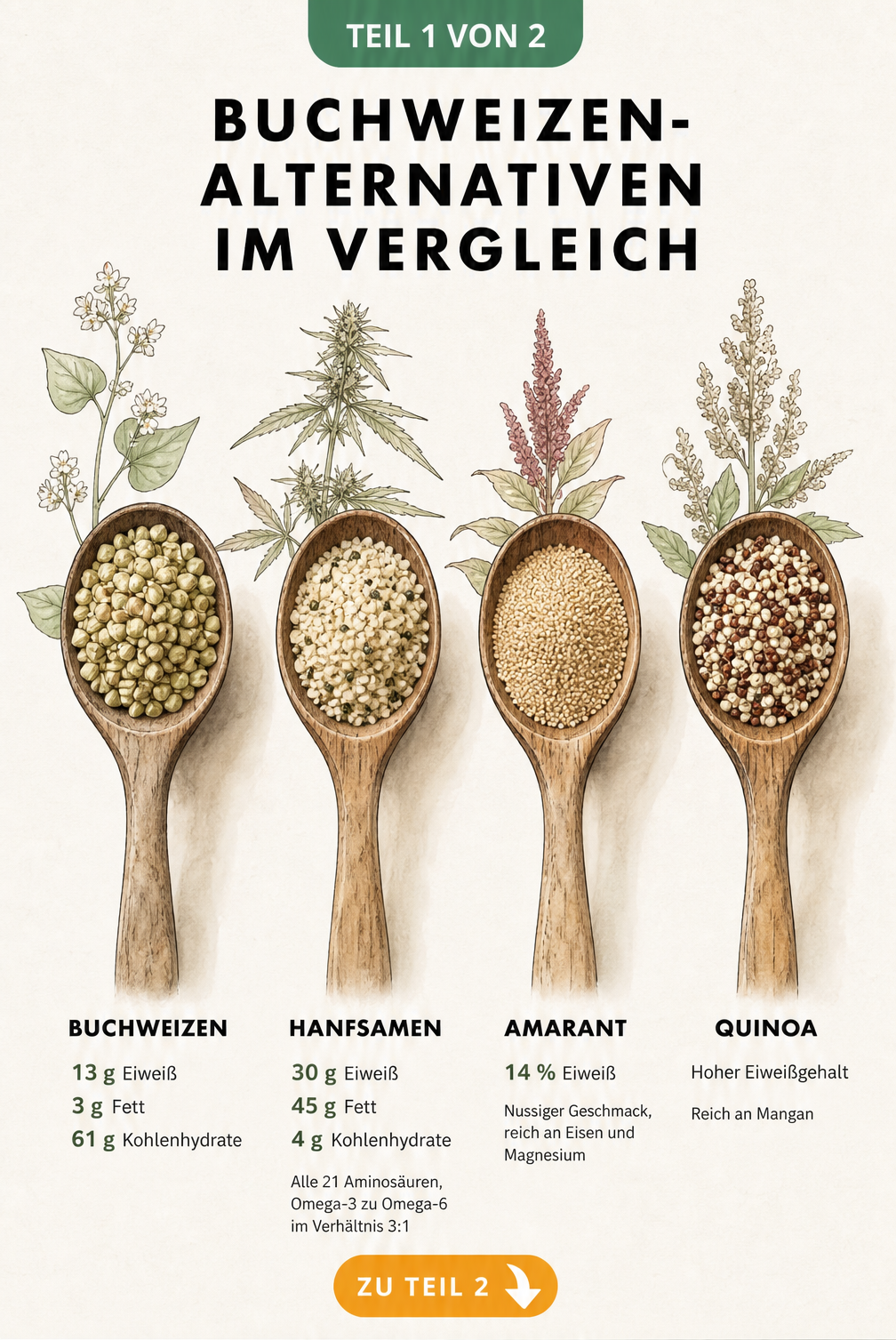 Vergleich der Nährwerte von Buchweizen, Hanfsamen, Amarant und Quinoa auf Holzlöffeln