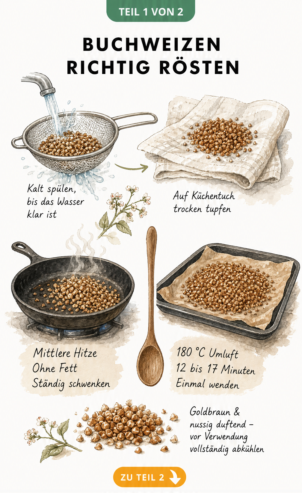Illustration zur Vorbereitung und zum Rösten von Buchweizen in Pfanne und Backofen
