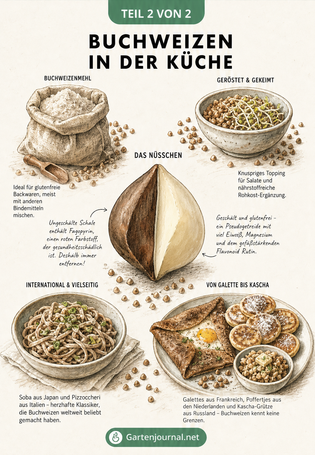 Illustration verschiedener Buchweizen-Produkte und Gerichte auf einer Holzplatte
