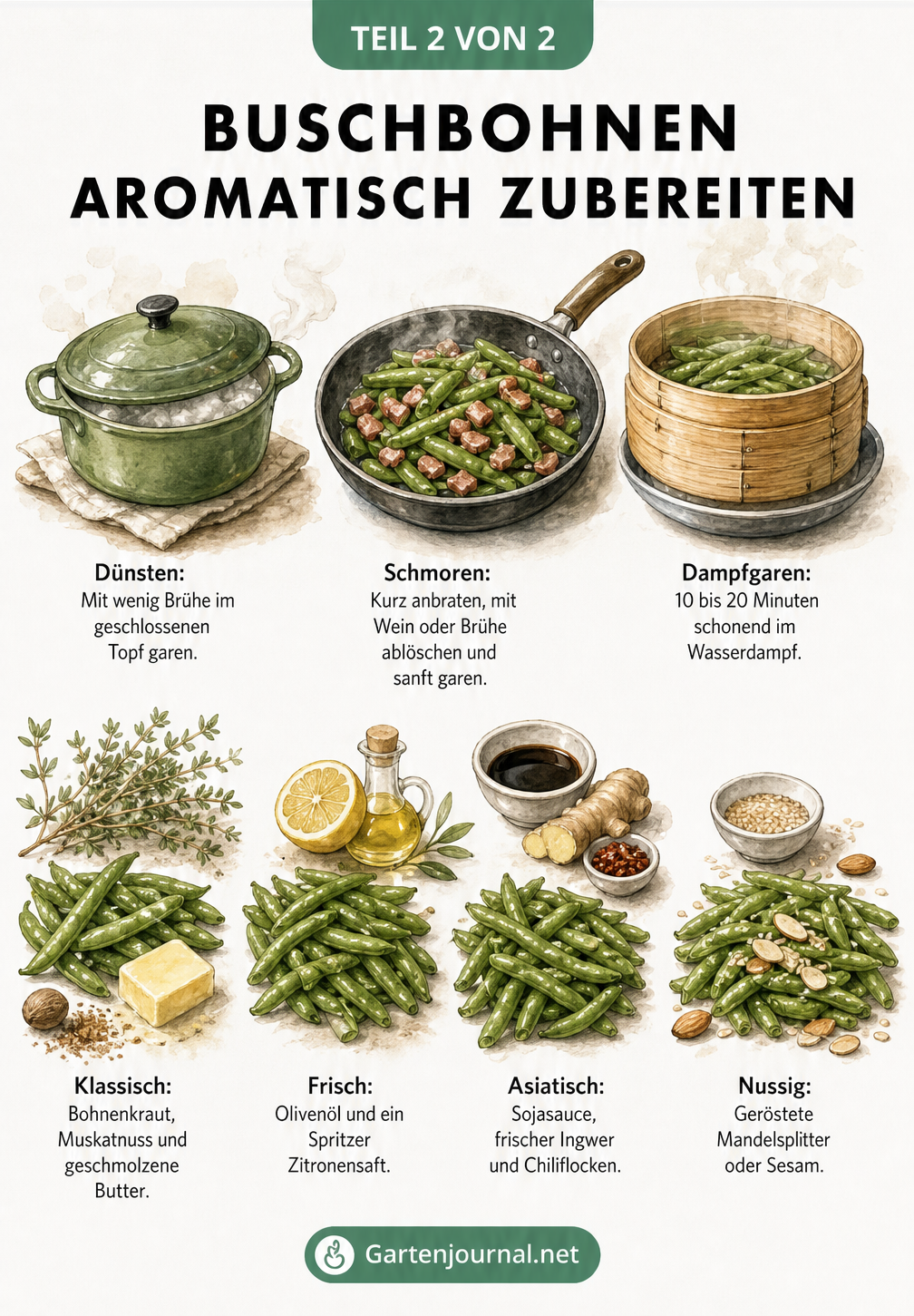 Illustration verschiedener Zubereitungsmethoden für Buschbohnen wie Dünsten, Schmoren und Dampfgaren sowie vier Geschmackskombinationen.