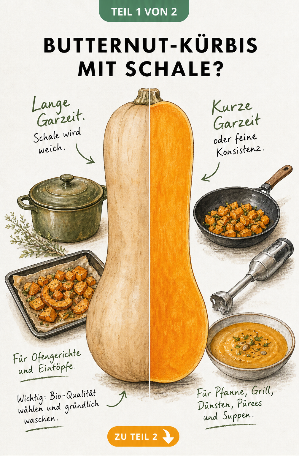 Illustration eines halbierten Butternut-Kürbisses, der links mit Schale für Ofengerichte und rechts geschält für Suppen und Pürees gezeigt wird.