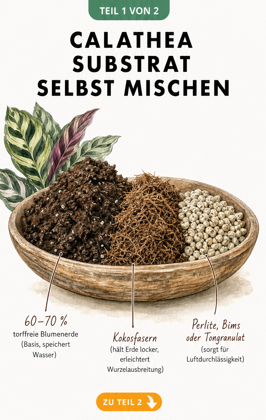 Drei Häufchen für Calathea-Substrat: torffreie Blumenerde, Kokosfasern und Perlite in einer Holzschale