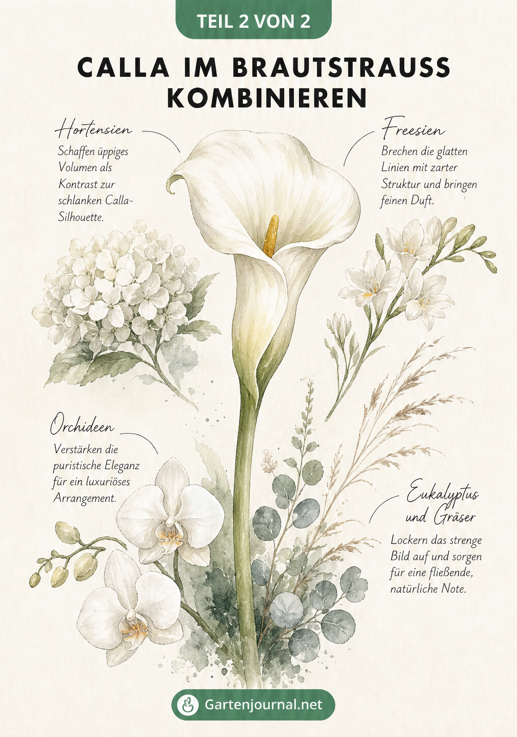 Skizze einer weißen Calla umgeben von Hortensien, Freesien, Orchideen, Eukalyptus und Gräsern