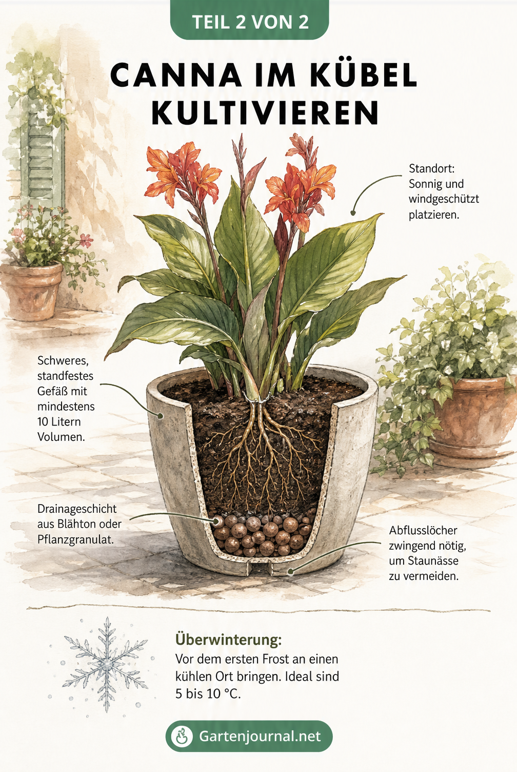 Illustration einer blühenden Canna in einem großen Pflanzgefäß mit Risszeichnung, die Drainageschicht und Abflusslöcher zeigt.