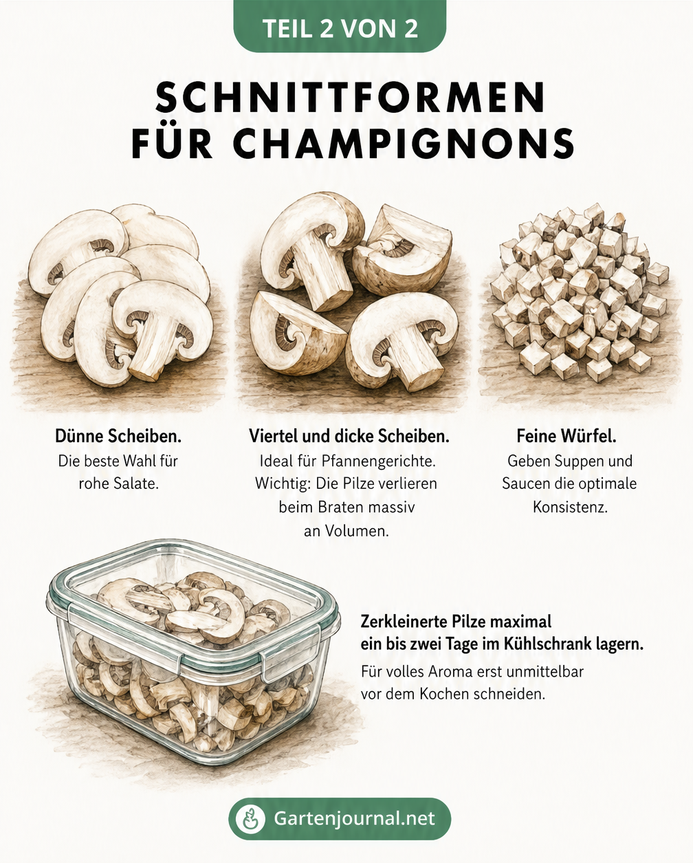 Illustration verschiedener Schnittformen für Champignons: dünne Scheiben, Viertel, dicke Scheiben und feine Würfel.