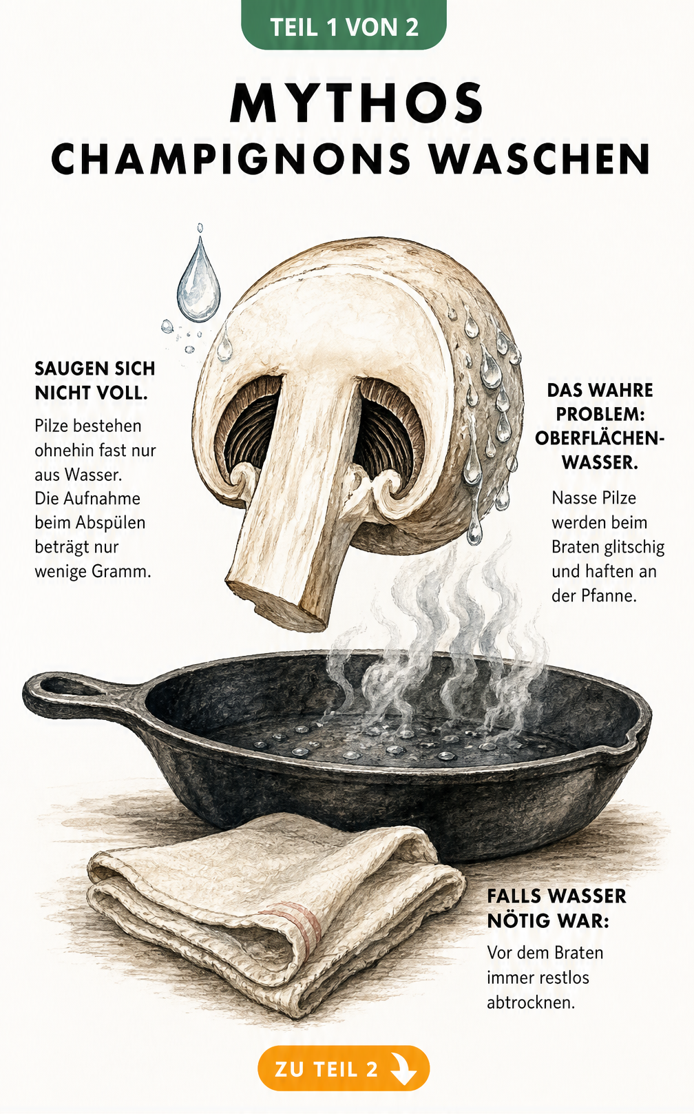 Illustration eines halbierten Champignons über einer Pfanne, die zeigt, dass Pilze beim Waschen kaum Wasser aufsaugen, aber Oberflächenwasser beim Braten stört.