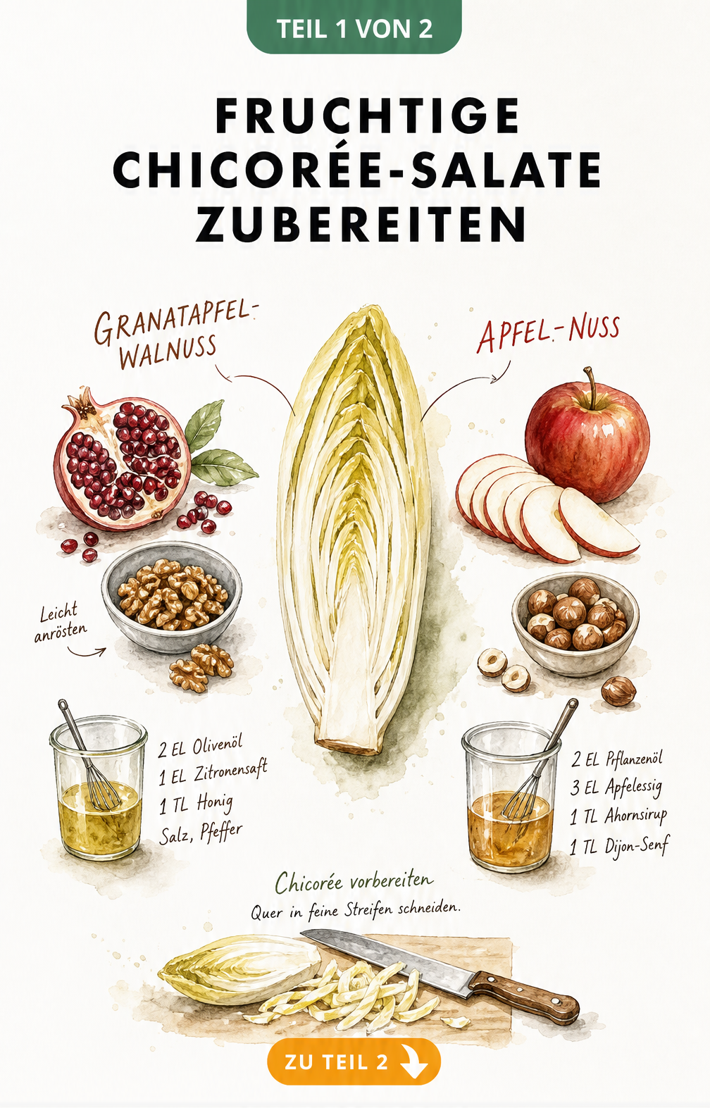 Aquarell-Illustration von Chicorée-Salaten mit Granatapfel, Walnüssen, Apfel und Haselnüssen sowie passenden Dressings