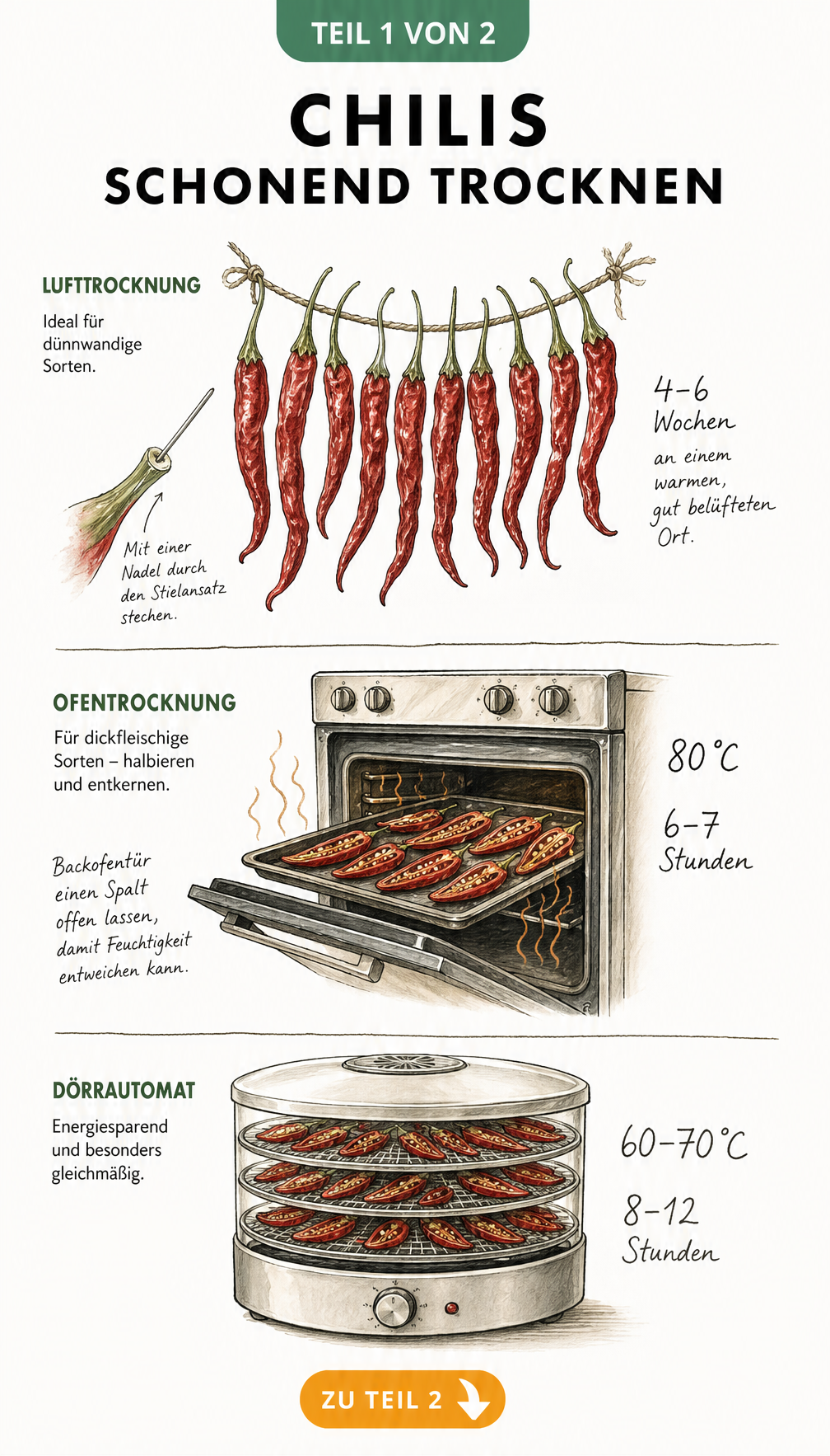 Illustration von drei Methoden zum Chilis trocknen: Lufttrocknung an einer Schnur, Ofentrocknung auf einem Backblech und Trocknung im Dörrautomat.