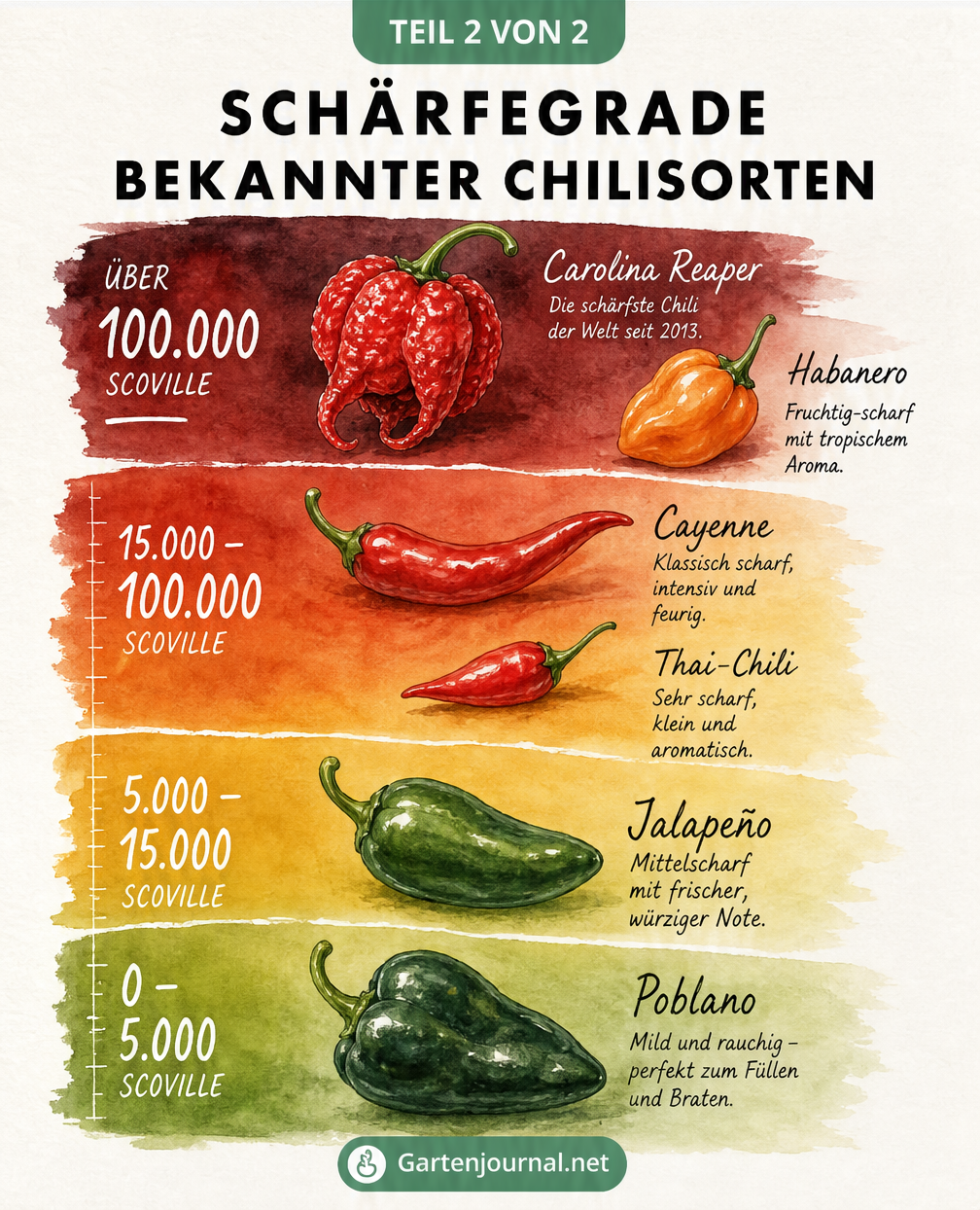 Scoville-Skala als Farbverlauf mit Illustrationen von Poblano, Jalapeño, Cayenne und Carolina Reaper