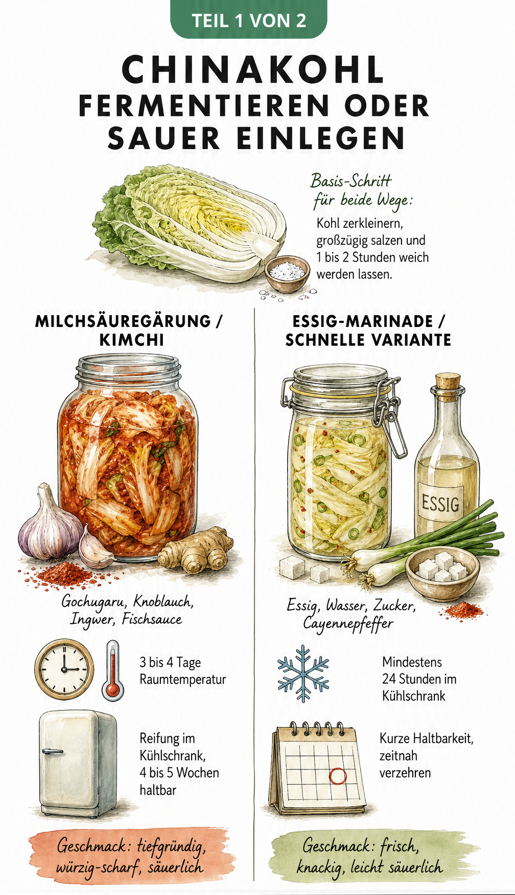 Vergleich der Methoden zum Einlegen von Chinakohl: Milchsäuregärung für Kimchi und schnelle Essig-Marinade