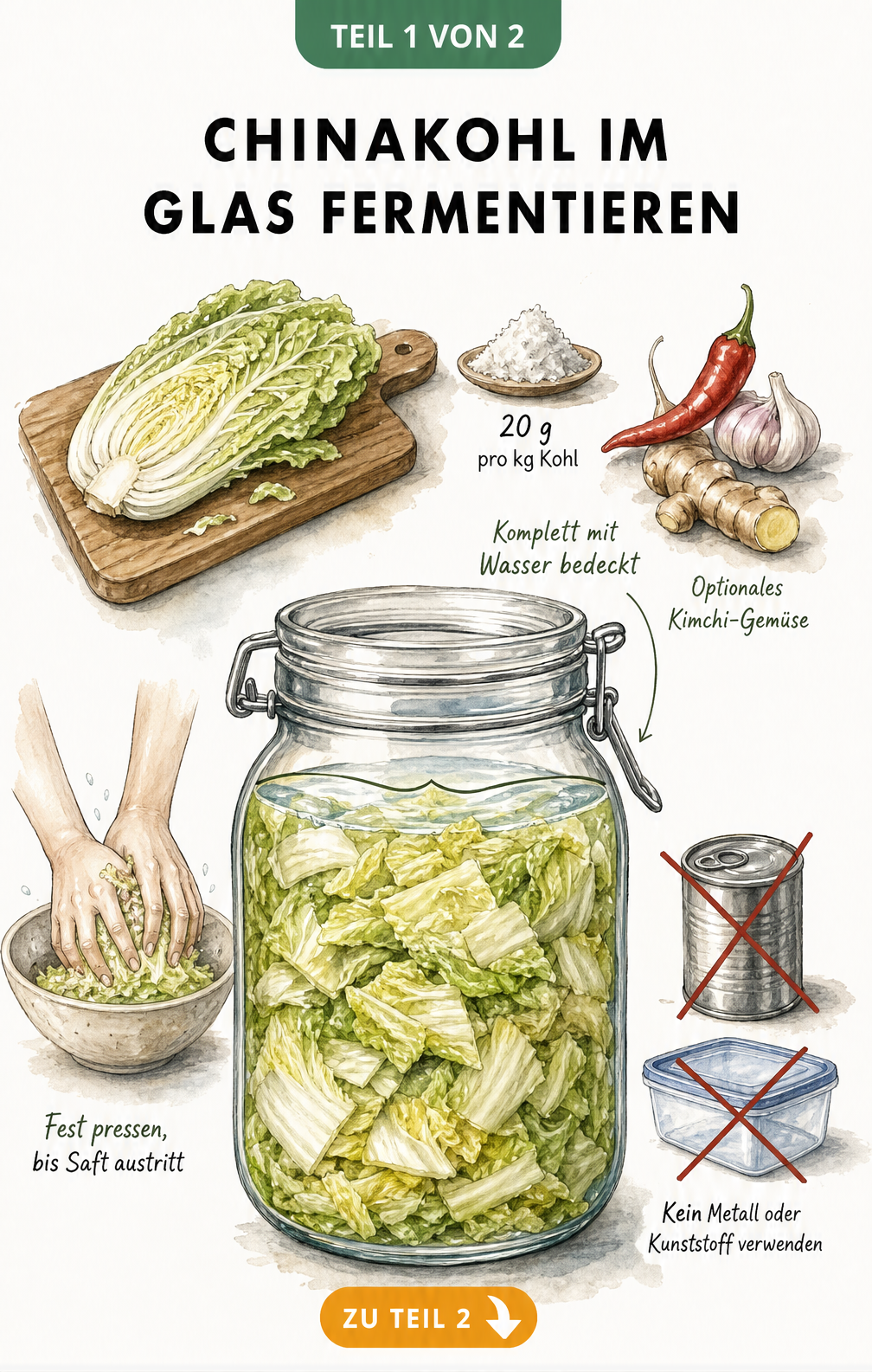 Illustration eines Bügelglases mit fermentiertem Chinakohl, umgeben von Zutaten wie Salz, Chili und Knoblauch sowie Hinweisen zur Zubereitung.