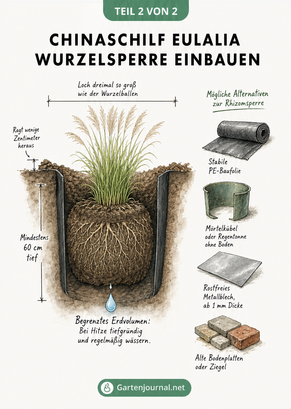 Technische Skizze eines Pflanzlochs mit Chinaschilf, die den korrekten Einbau einer Wurzelsperre und alternative Materialien zeigt.