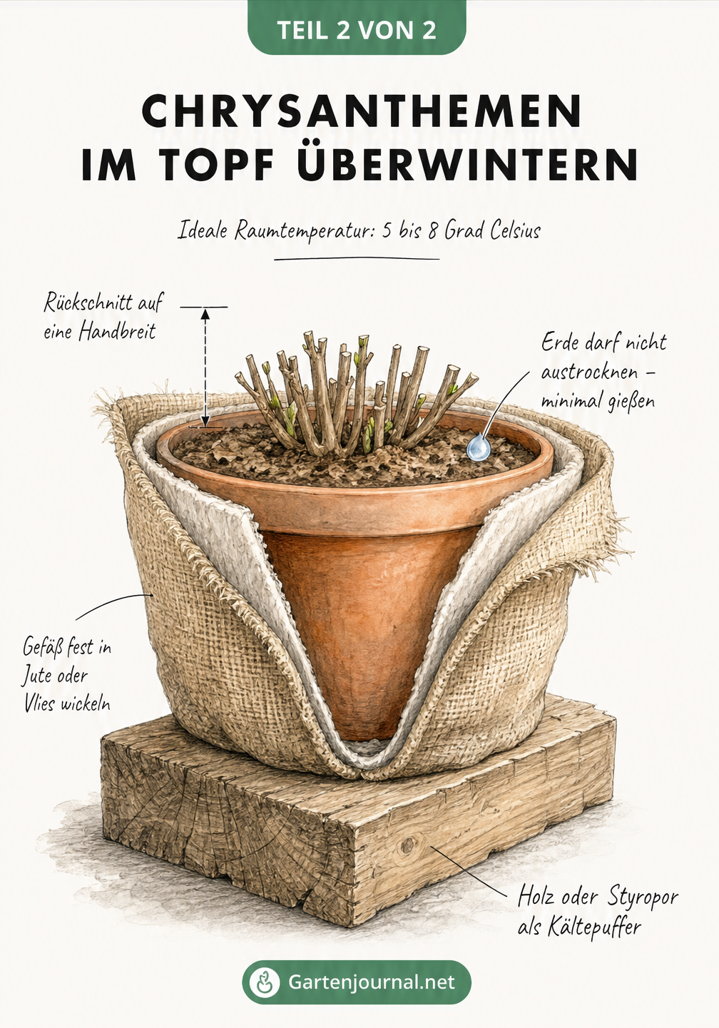 Querschnitt eines Pflanztopfes mit einer Chrysantheme, eingewickelt in Jute, auf einem Holzblock als Kältepuffer