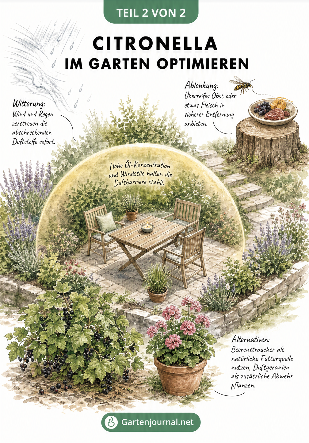 Isometrische Gartenskizze mit Sitzplatz unter einer Duftkuppel, Wind, Regen, Ablenkfütterung und Duftgeranien zur Wespenabwehr