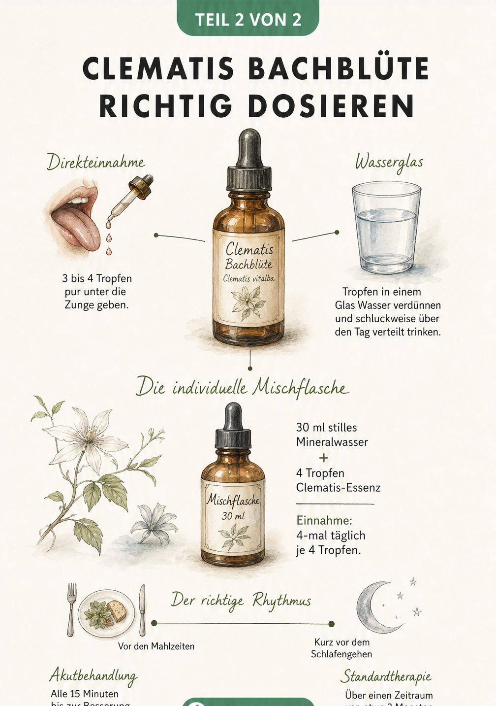 Aquarellierte Apotheker-Pipettenflasche mit Anleitung zur Dosierung der Clematis Bachblüte