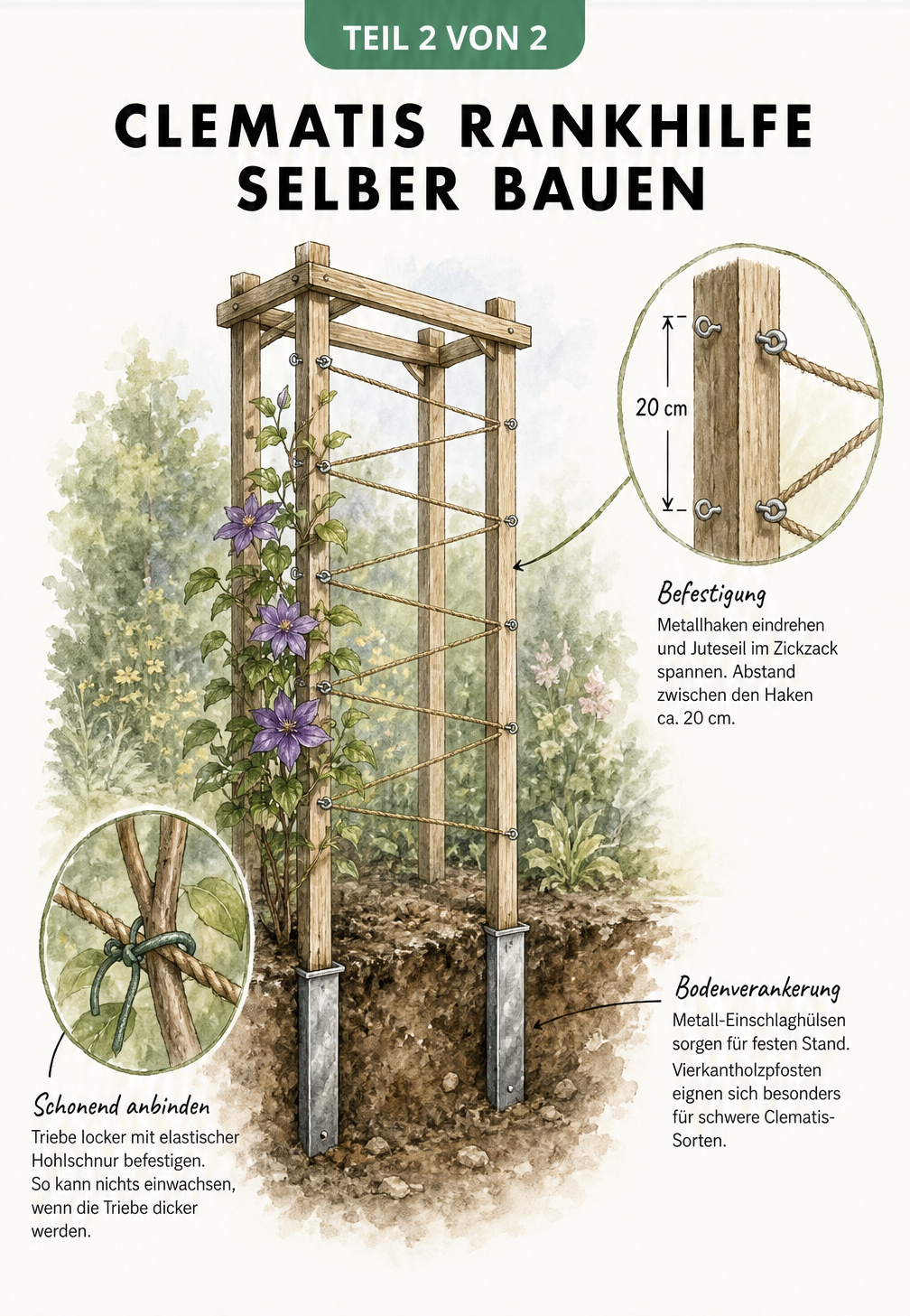 Isometrische Zeichnung einer selbstgebauten Rankhilfe für Clematis mit Holzpfosten, Juteseil und schonender Anbindung