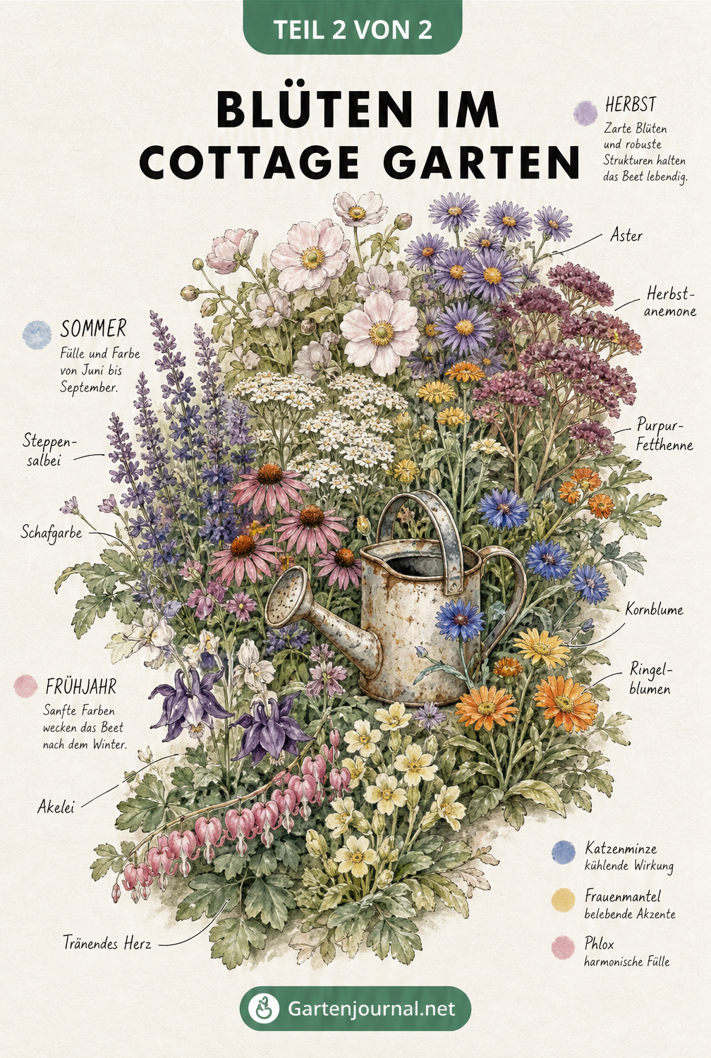 Wimmelbild-Illustration von Cottage Garten Blumen im Jahresverlauf von Akelei bis Astern