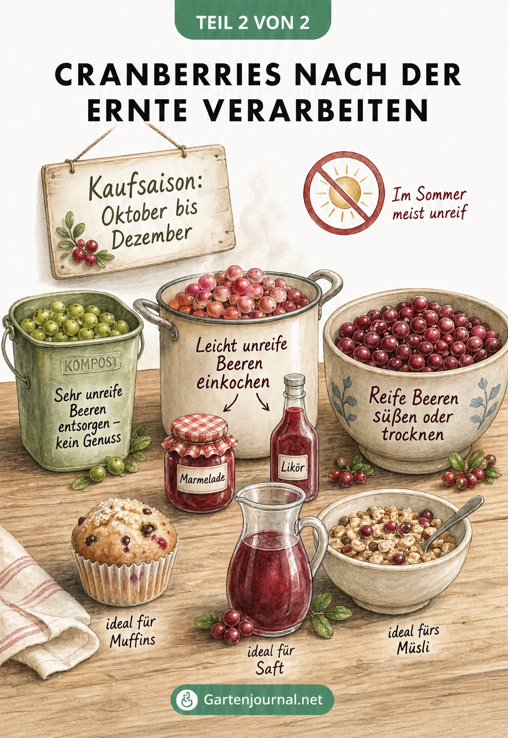 Illustration einer Küchenarbeitsplatte mit Gefäßen zur Verarbeitung von unreifen und reifen Cranberries
