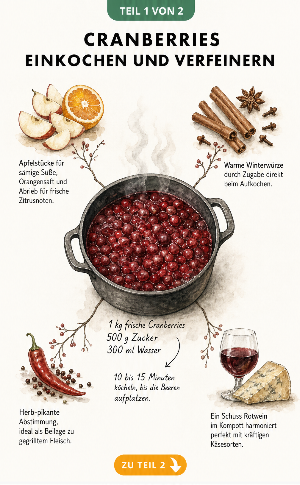 Illustration eines Kochtopfs mit Cranberries und Zutaten wie Apfel, Orange, Zimt, Chili und Rotwein zum Verfeinern