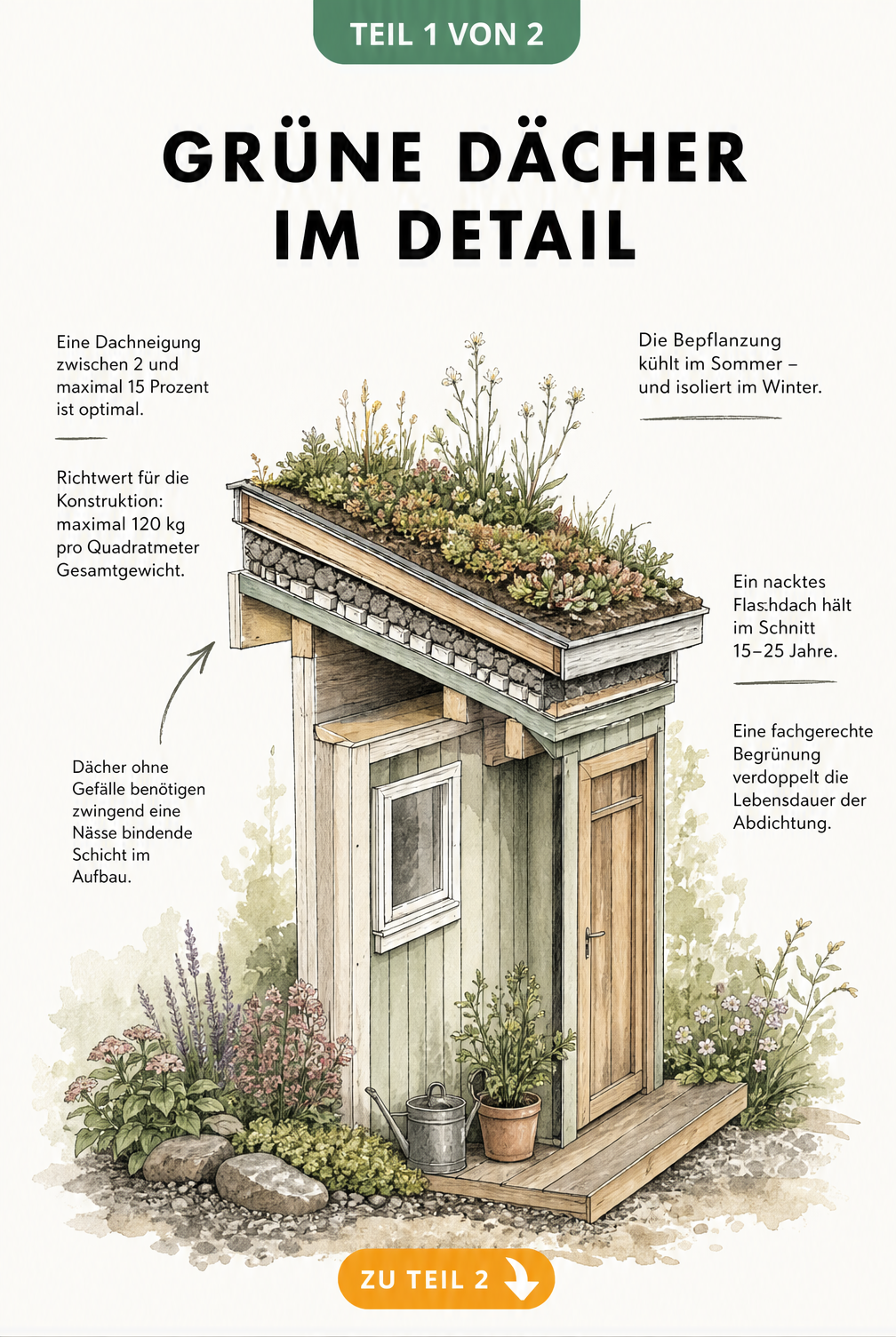 Architekturskizze eines Gartenhauses mit Pultdach und Querschnitt der Dachbegrünung, inklusive Angaben zu Dachneigung und Gewicht.