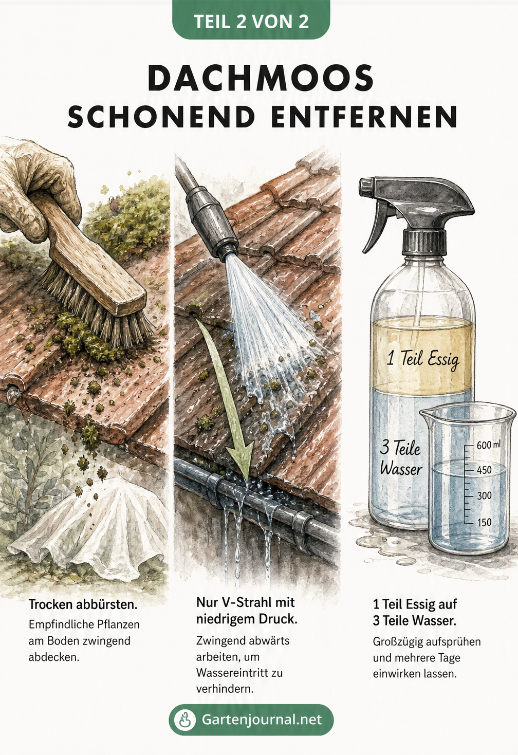 Drei Methoden zur schonenden Moosentfernung: Trocken abbürsten, Hochdruckreiniger mit V-Strahl abwärts und biologische Essig-Wasser-Mischung.