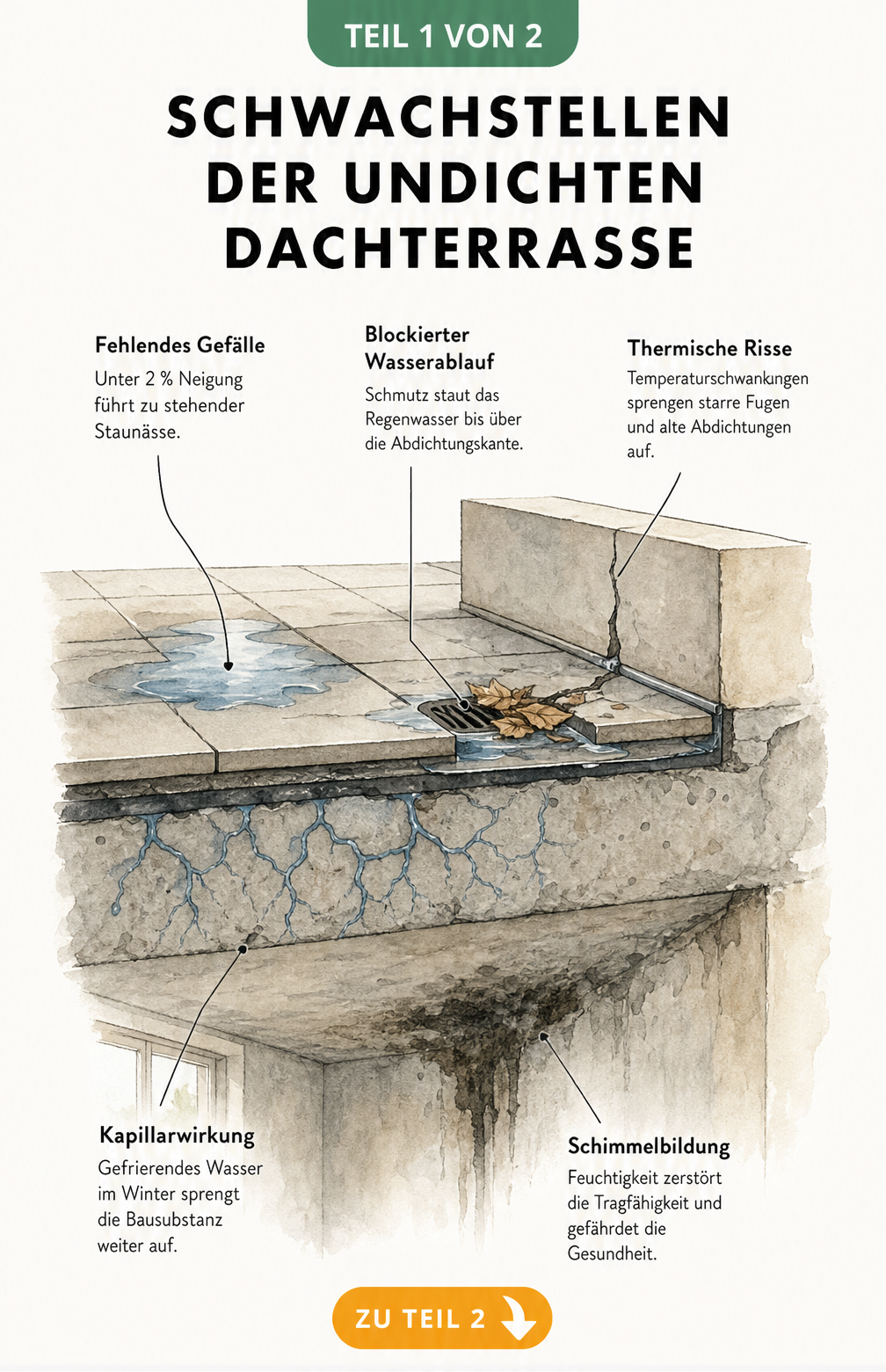 Isometrische Schnittansicht einer Dachterrasse mit Schwachstellen wie fehlendem Gefälle, blockiertem Abfluss, thermischen Rissen, Kapillarwirkung und...