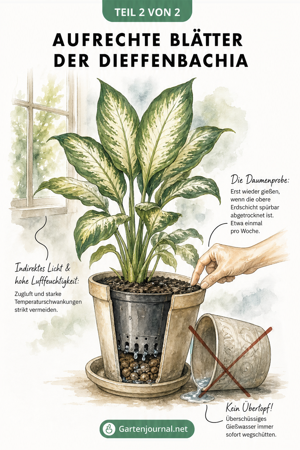 Illustration einer gesunden Dieffenbachia mit aufrechten Blättern, die den idealen Standort und die richtige Gießroutine zeigt.