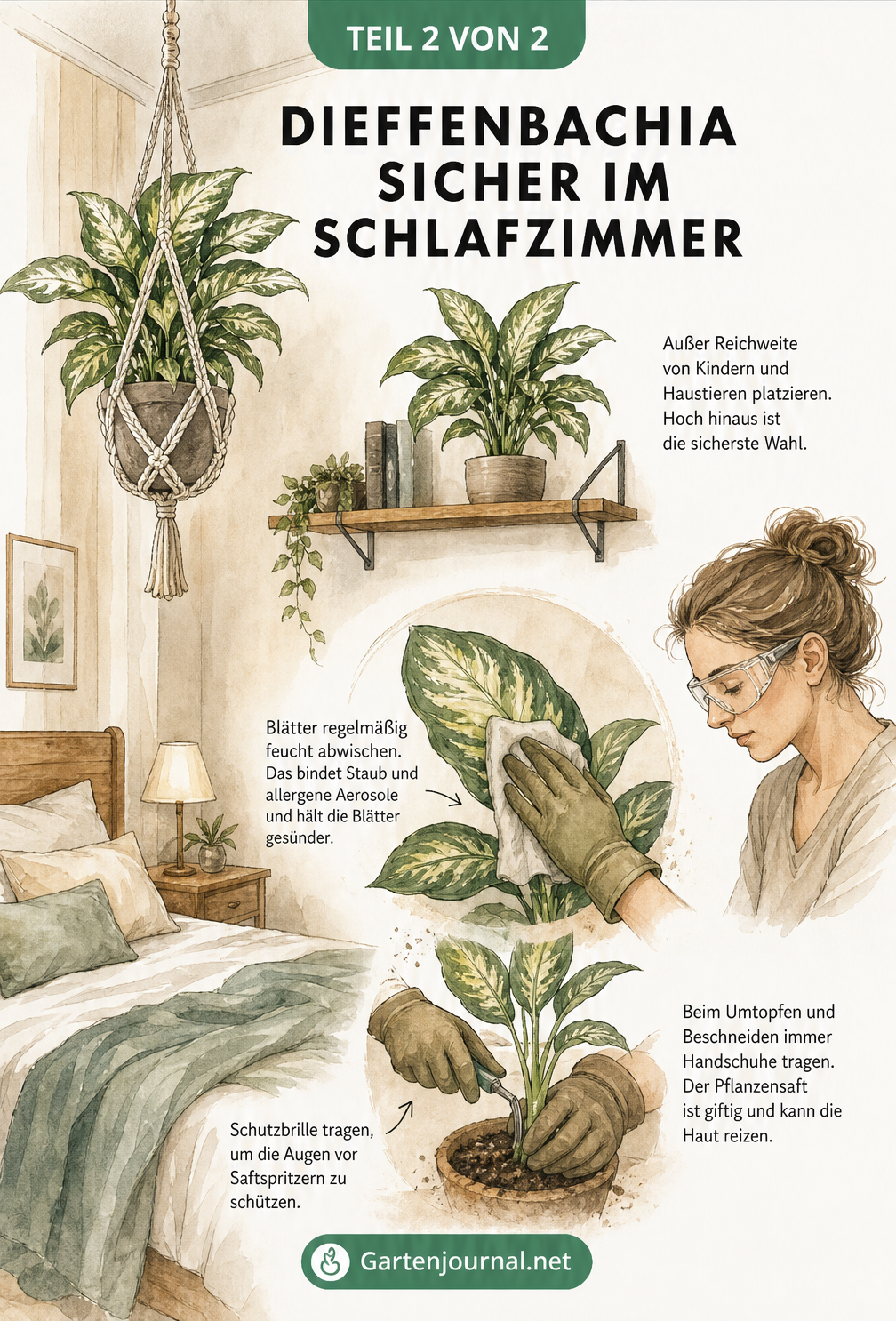 Illustration eines Schlafzimmers mit sicher platzierten Dieffenbachien und Pflegehinweisen