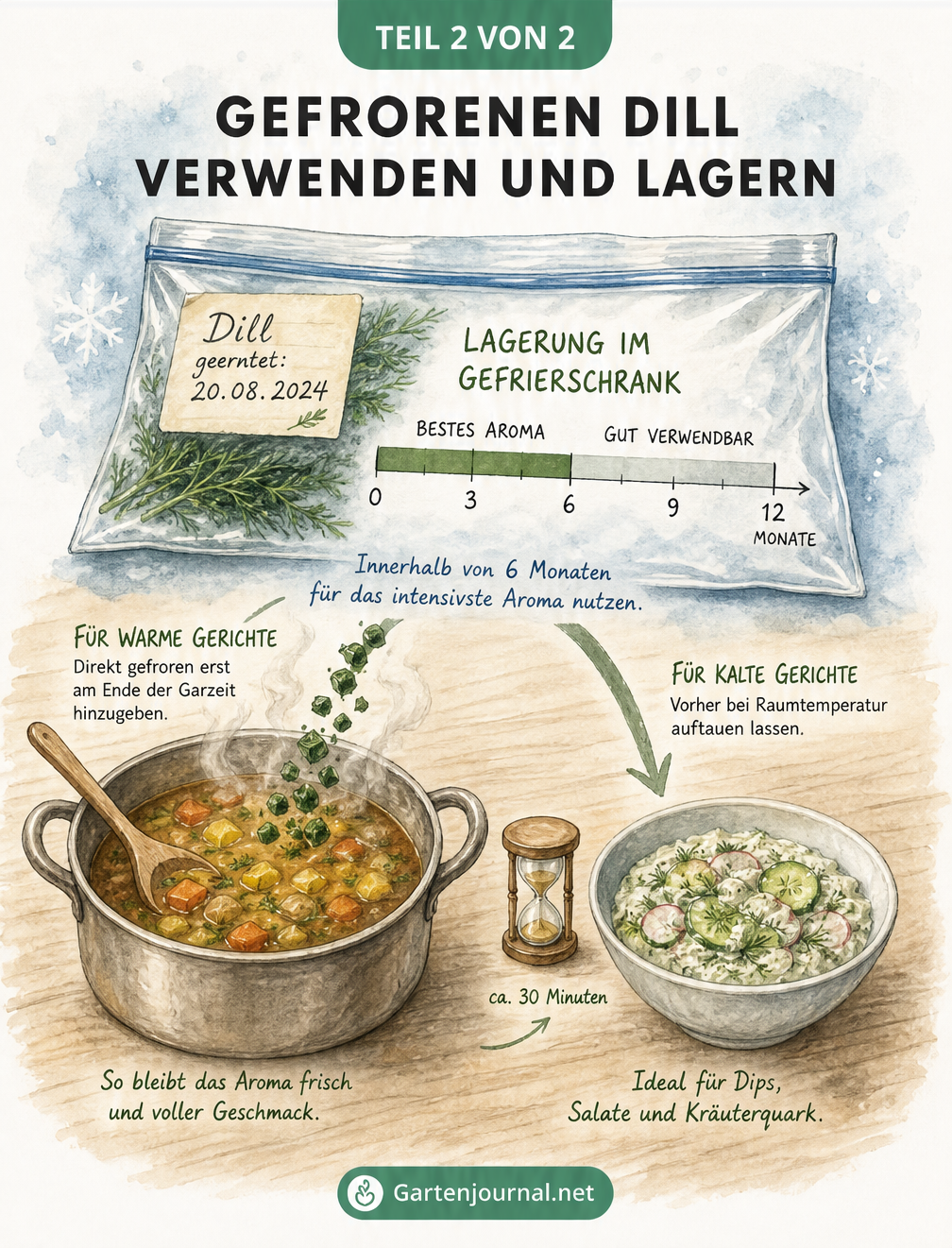 Illustration zur Haltbarkeit und Verwendung von gefrorenem Dill, mit Zeitstrahl für das Aroma und Hinweisen zur Zugabe in warme und kalte Speisen.