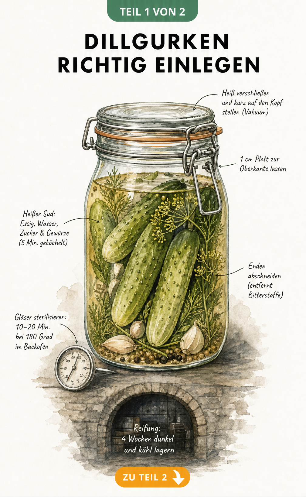 Illustration eines Einmachglases mit Dillgurken, das die Schritte zum Einlegen wie Sud kochen, Enden abschneiden und Gläser sterilisieren zeigt.